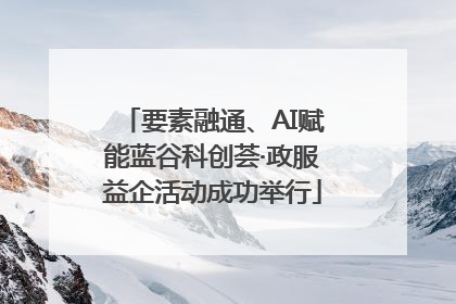 要素融通、AI赋能蓝谷科创荟·政服益企活动成功举行